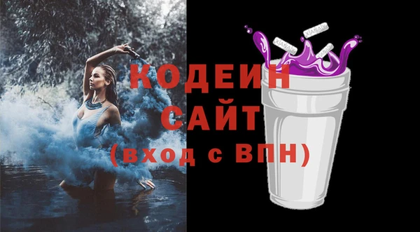 ГАЛЛЮЦИНОГЕННЫЕ ГРИБЫ Сатка