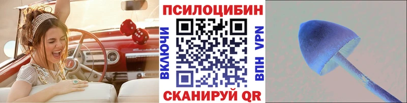 omg tor  Туймазы  Псилоцибиновые грибы Cubensis 