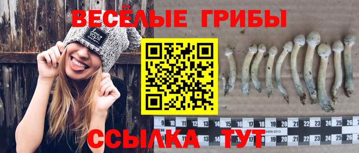 Галлюциногенные грибы мицелий Туймазы
